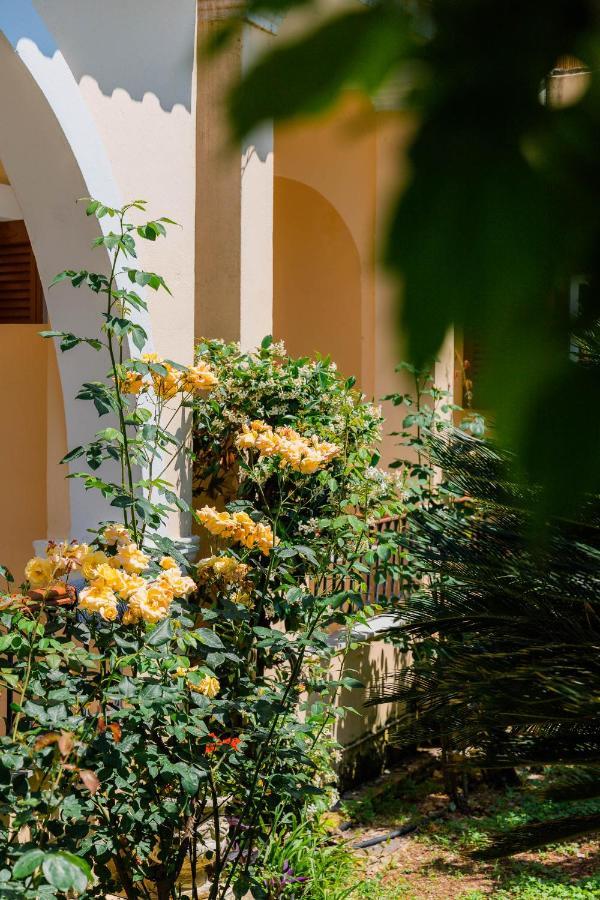 Ilena Hotel Acharavi  Zewnętrze zdjęcie